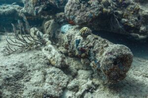 scuba dive caribbean