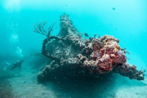 explore scuba diving in the US Virgin Islands