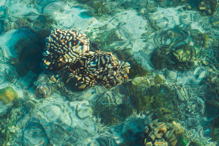 eco friendly yacht charter